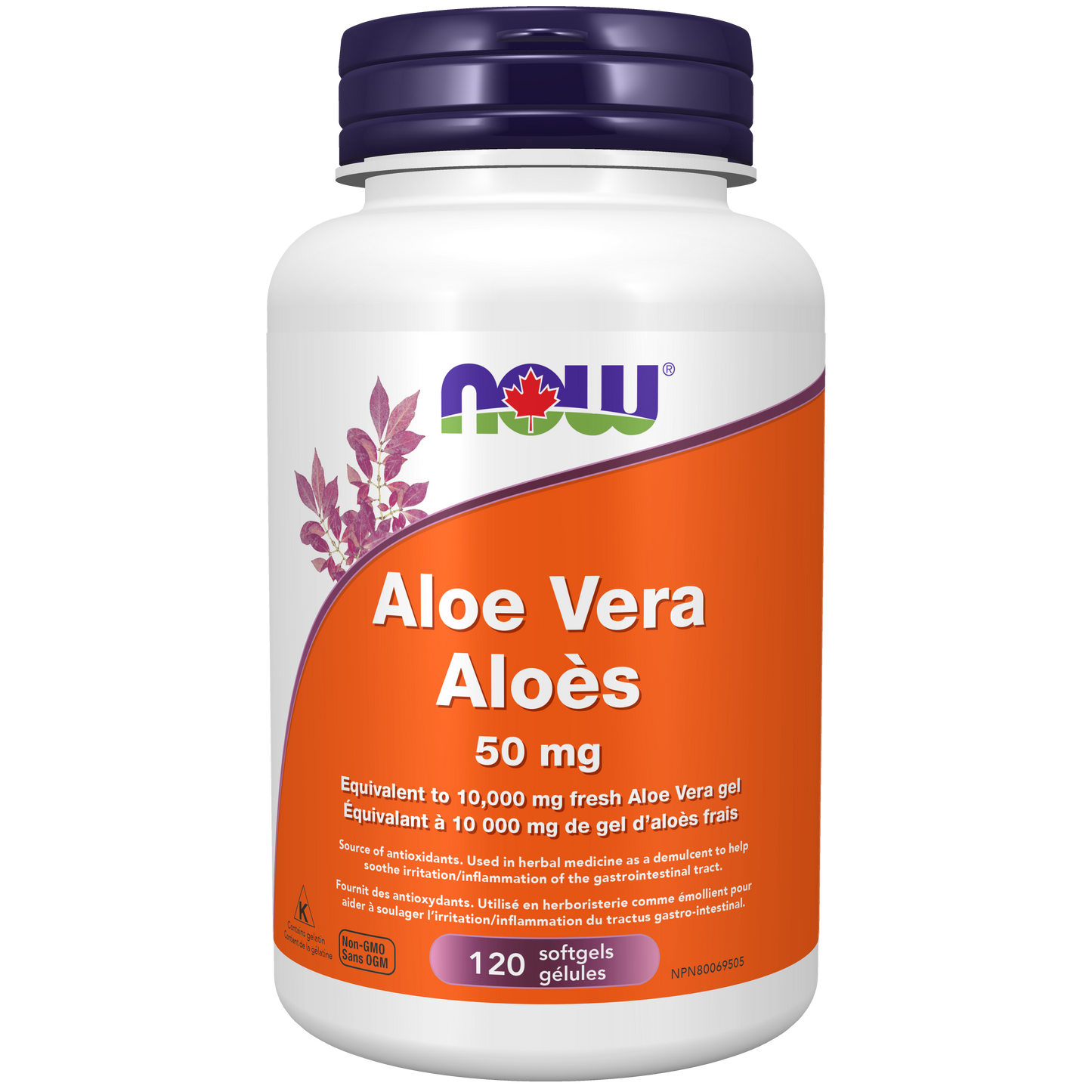 Aloe Vera 50mg